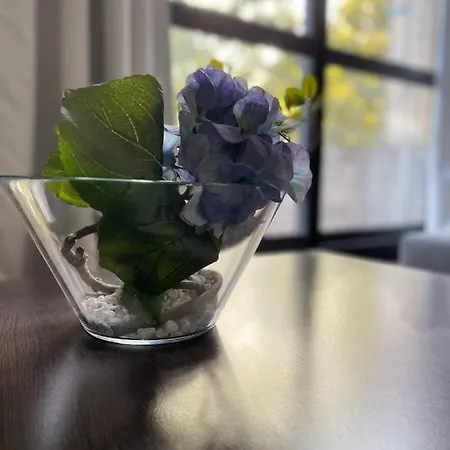 Apartment Dg - Le Relais Du Lac, Proche Disneyland Paris